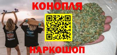 apvp Канаш