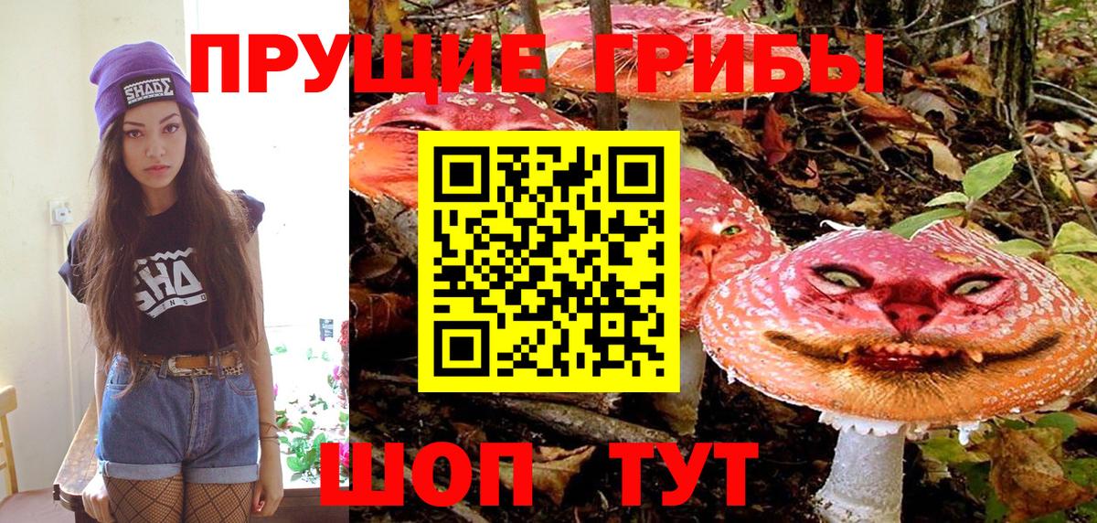 Псилоцибиновые грибы мухоморы  Вход с VPN  Вятские Поляны 